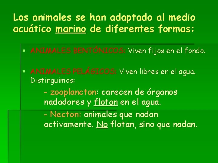 Los animales se han adaptado al medio acuático marino de diferentes formas: § ANIMALES