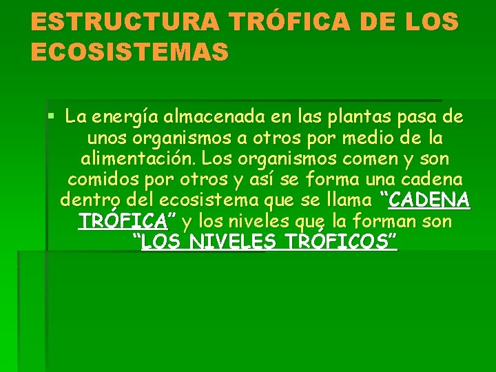 ESTRUCTURA TRÓFICA DE LOS ECOSISTEMAS § La energía almacenada en las plantas pasa de
