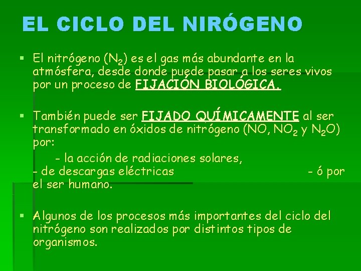 EL CICLO DEL NIRÓGENO § El nitrógeno (N 2) es el gas más abundante
