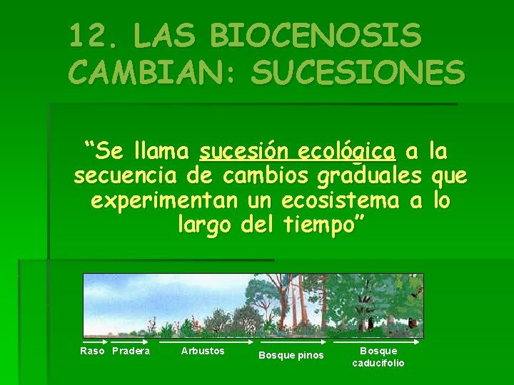 12. LAS BIOCENOSIS CAMBIAN: SUCESIONES “Se llama sucesión ecológica a la secuencia de cambios