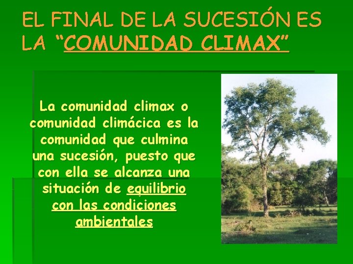 EL FINAL DE LA SUCESIÓN ES LA “COMUNIDAD CLIMAX” La comunidad climax o comunidad
