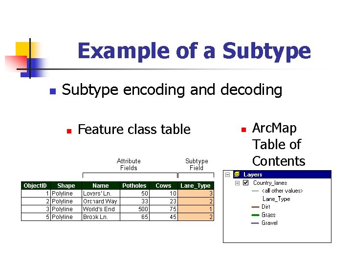 Example of a Subtype n Subtype encoding and decoding n Feature class table n