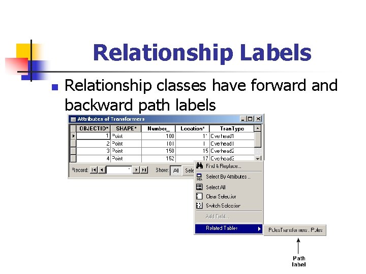 Relationship Labels n Relationship classes have forward and backward path labels 