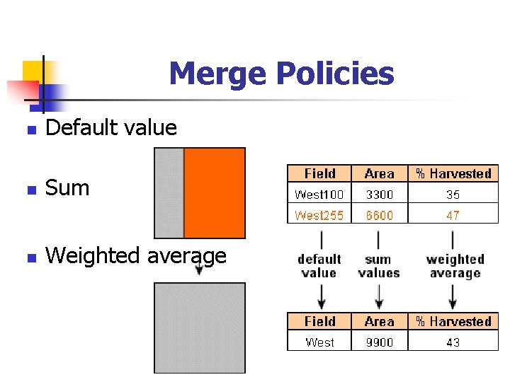 Merge Policies n Default value n Sum n Weighted average 