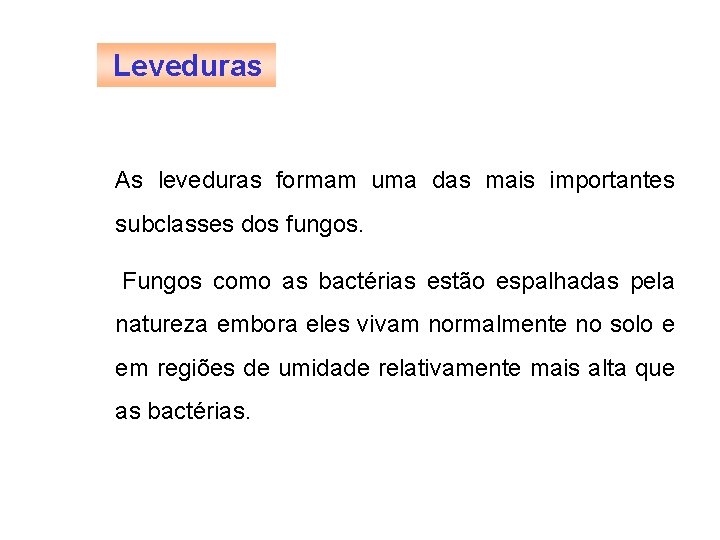 FERMENTAÇÃO - MICROBIOLOGIA BÁSICA Leveduras As leveduras formam uma das mais importantes subclasses dos