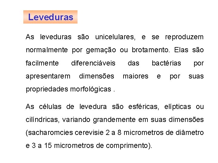 FERMENTAÇÃO - MICROBIOLOGIA BÁSICA Leveduras As leveduras são unicelulares, e se reproduzem normalmente por