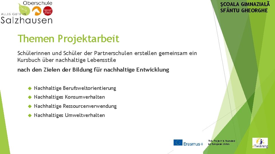 ŞCOALA GIMNAZIALĂ SF NTU GHEORGHE Themen Projektarbeit Schülerinnen und Schüler der Partnerschulen erstellen gemeinsam