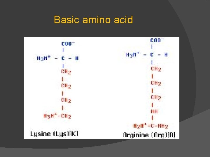 Basic amino acid 