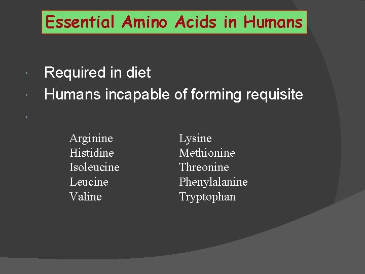 Essential Amino Acids in Humans Required in diet Humans incapable of forming requisite Arginine