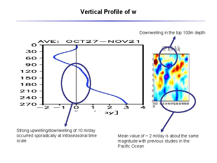 Vertical Profile of w Downwelling in the top 100 m depth Strong upwelling/downwelling of