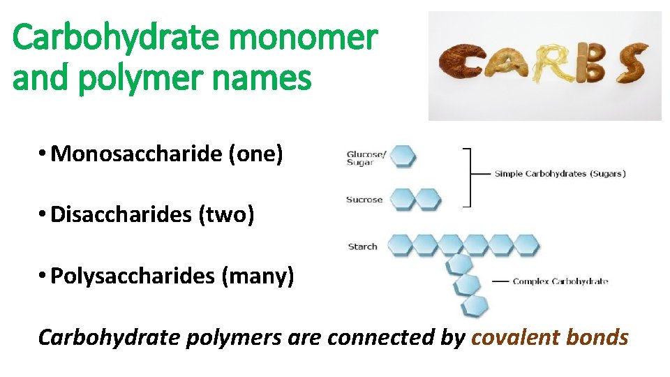 Carbohydrate monomer and polymer names • Monosaccharide (one) • Disaccharides (two) • Polysaccharides (many)