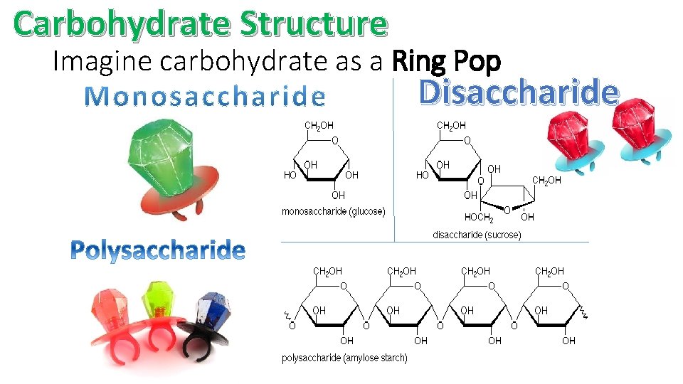 Carbohydrate Structure Imagine carbohydrate as a Ring Pop Disaccharide 