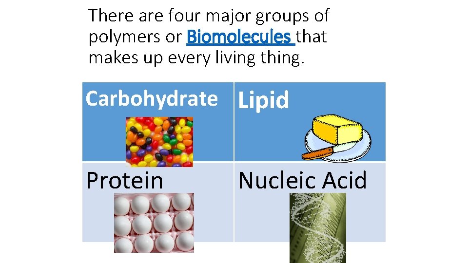There are four major groups of polymers or Biomolecules that makes up every living