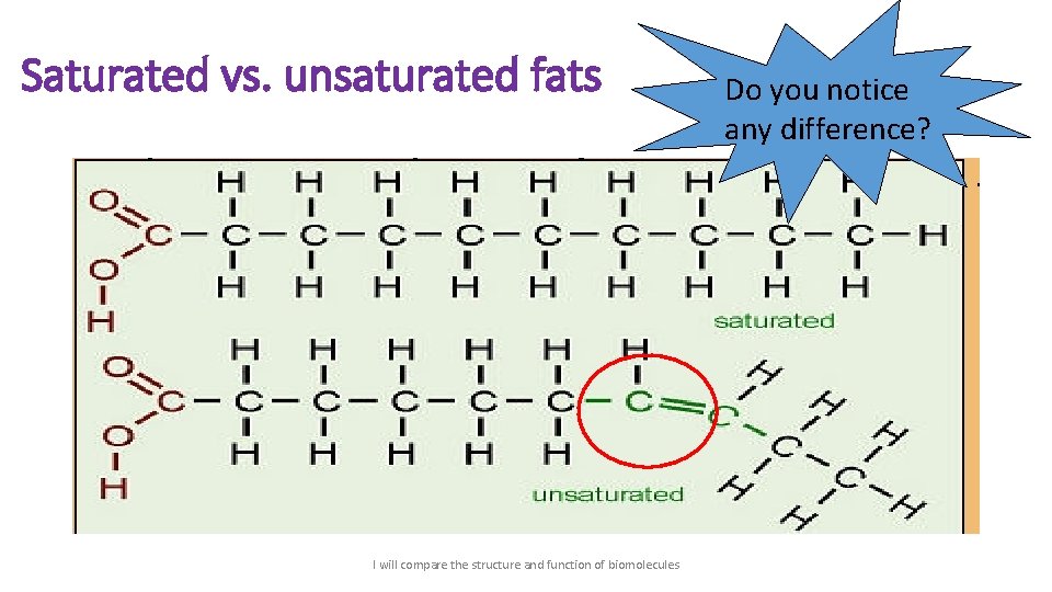 Saturated vs. unsaturated fats I will compare the structure and function of biomolecules Do