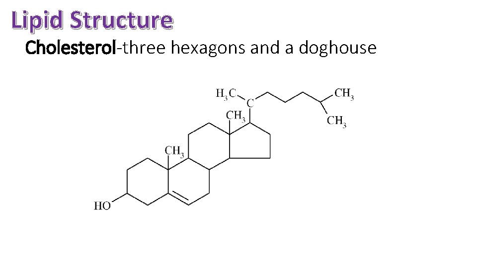 Lipid Structure Cholesterol-three hexagons and a doghouse 