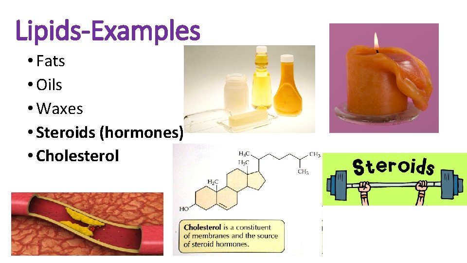 Lipids-Examples • Fats • Oils • Waxes • Steroids (hormones) • Cholesterol 