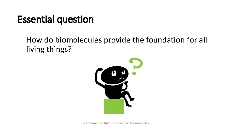 Essential question How do biomolecules provide the foundation for all living things? I will