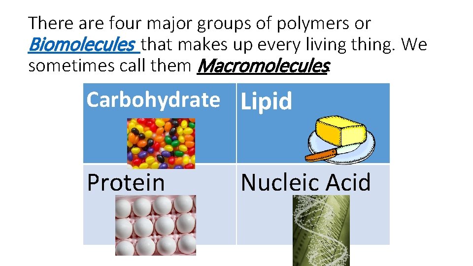 There are four major groups of polymers or Biomolecules that makes up every living
