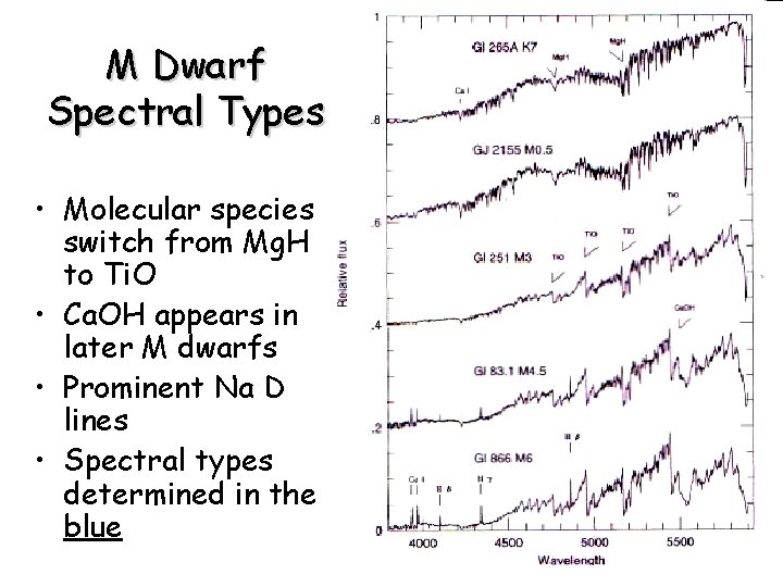 M Dwarf Spectral Types • Molecular species switch from Mg. H to Ti. O