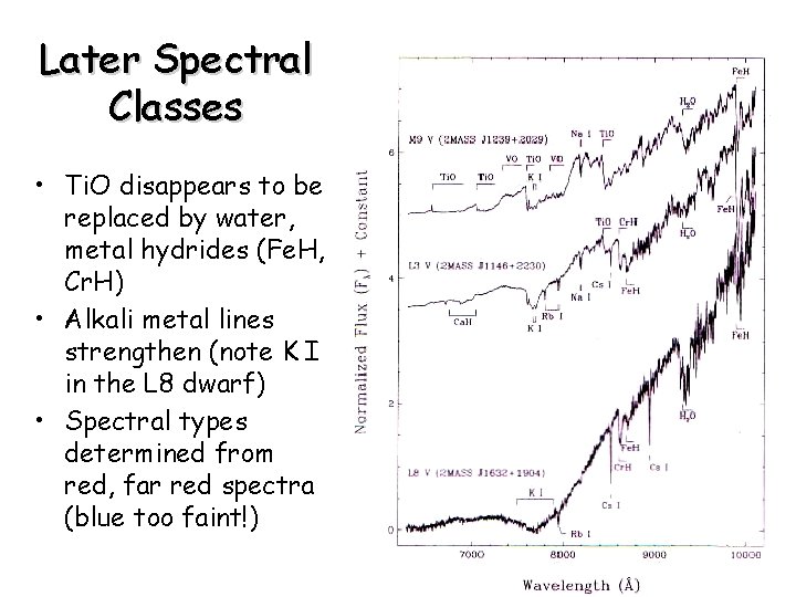 Later Spectral Classes • Ti. O disappears to be replaced by water, metal hydrides