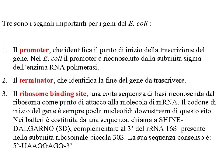 Tre sono i segnali importanti per i geni del E. coli : 1. Il