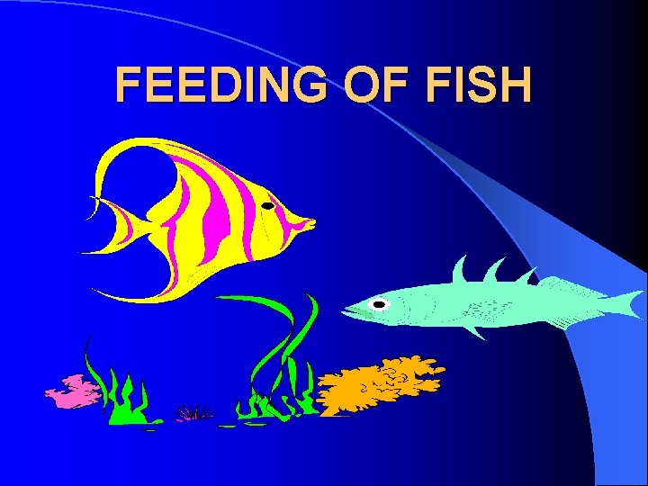 FEEDING OF FISH 