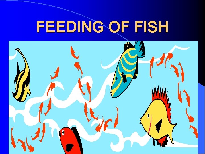 FEEDING OF FISH 