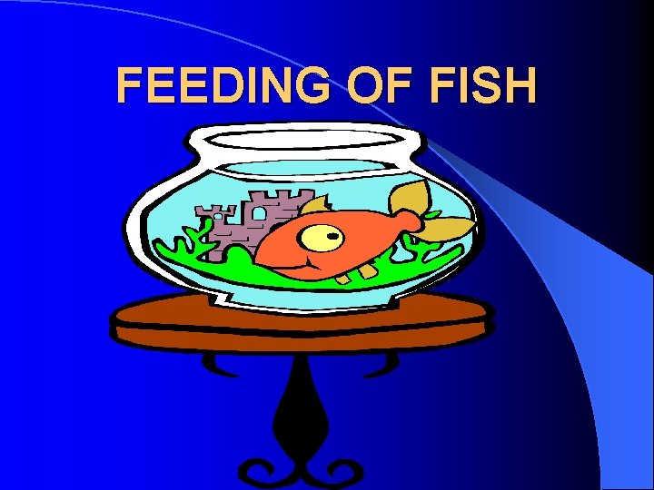 FEEDING OF FISH 