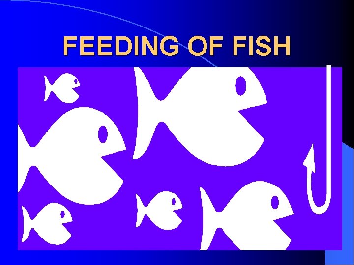 FEEDING OF FISH 