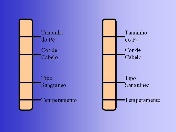 Tamanho do Pé Cor de Cabelo Tipo Sanguíneo Temperamento 