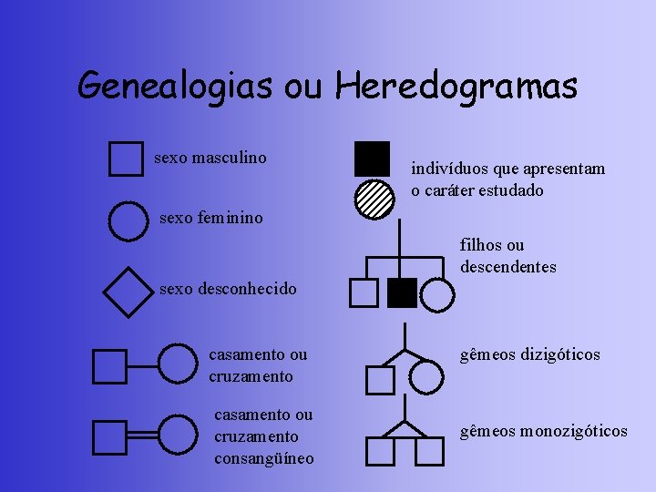 Genealogias ou Heredogramas sexo masculino indivíduos que apresentam o caráter estudado sexo feminino filhos