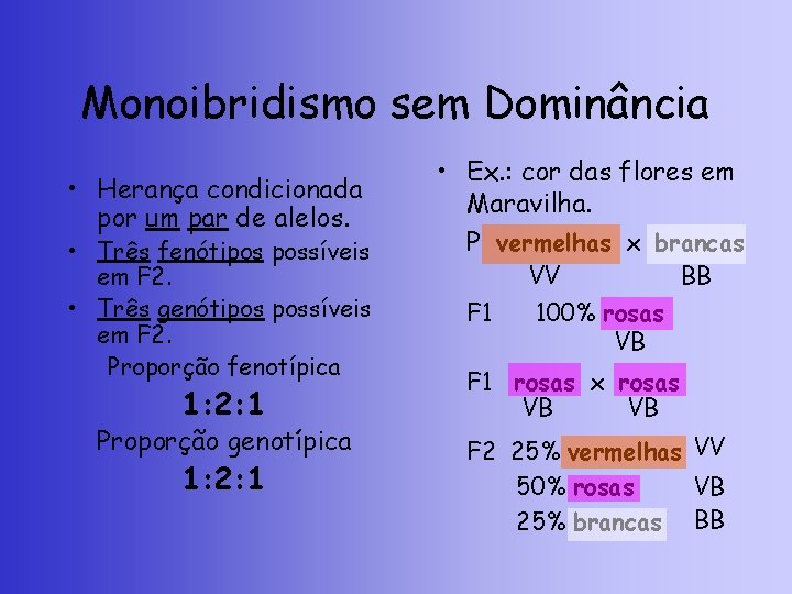 Monoibridismo sem Dominância • Herança condicionada por um par de alelos. • Três fenótipos