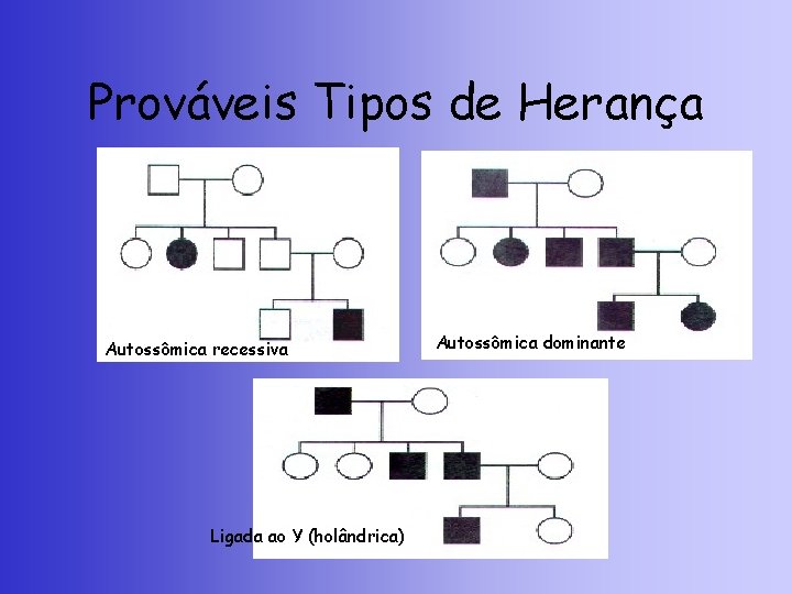 Prováveis Tipos de Herança Autossômica recessiva Ligada ao Y (holândrica) Autossômica dominante 