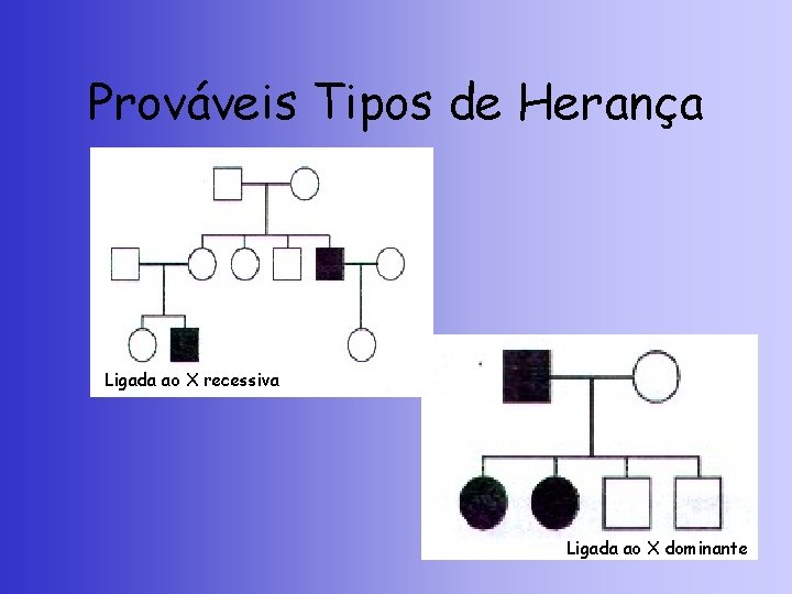 Prováveis Tipos de Herança Ligada ao X recessiva Ligada ao X dominante 