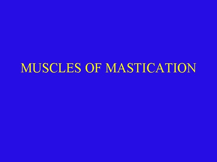 MUSCLES OF MASTICATION 