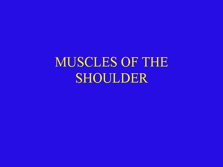 MUSCLES OF THE SHOULDER 