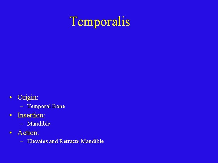 Temporalis • Origin: – Temporal Bone • Insertion: – Mandible • Action: – Elevates
