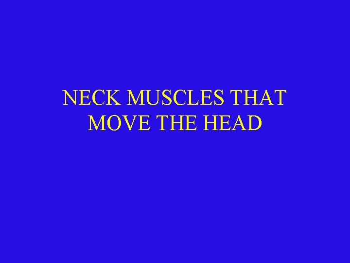 NECK MUSCLES THAT MOVE THE HEAD 