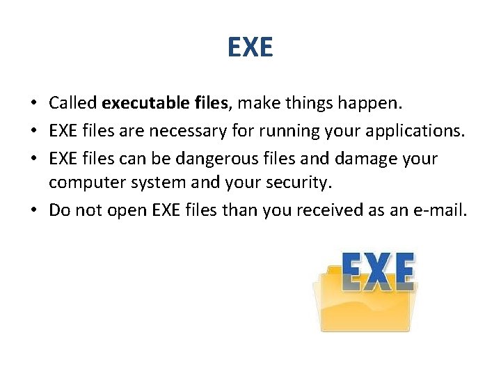 EXE • Called executable files, make things happen. • EXE files are necessary for