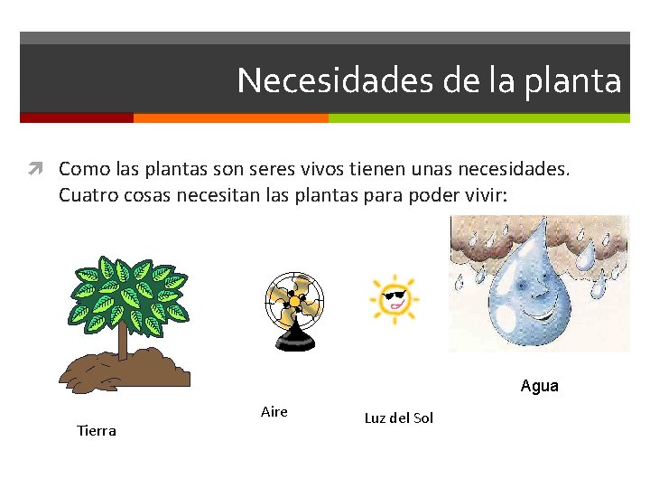 Necesidades de la planta Como las plantas son seres vivos tienen unas necesidades. Cuatro