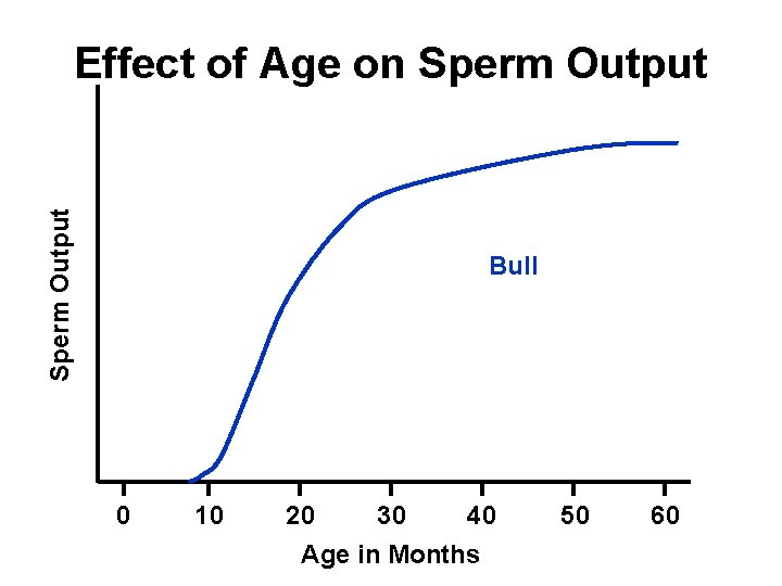 Sperm Output Effect of Age on Sperm Output Bull 0 10 20 30 40