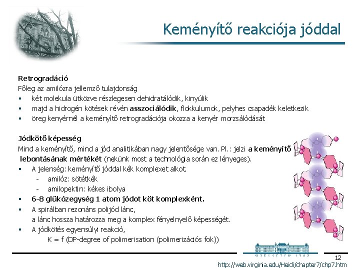 Keményítő reakciója jóddal Retrogradáció Főleg az amilózra jellemző tulajdonság § két molekula ütközve részlegesen