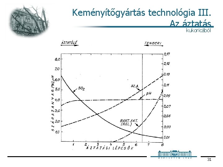 Keményítőgyártás technológia III. Az áztatás kukoricából 31 