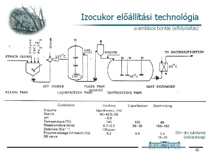 Izocukor előállítási technológia amilázos bontás (elfolyósítás) expanzió DS= dry substance (szárazanyag) 42 