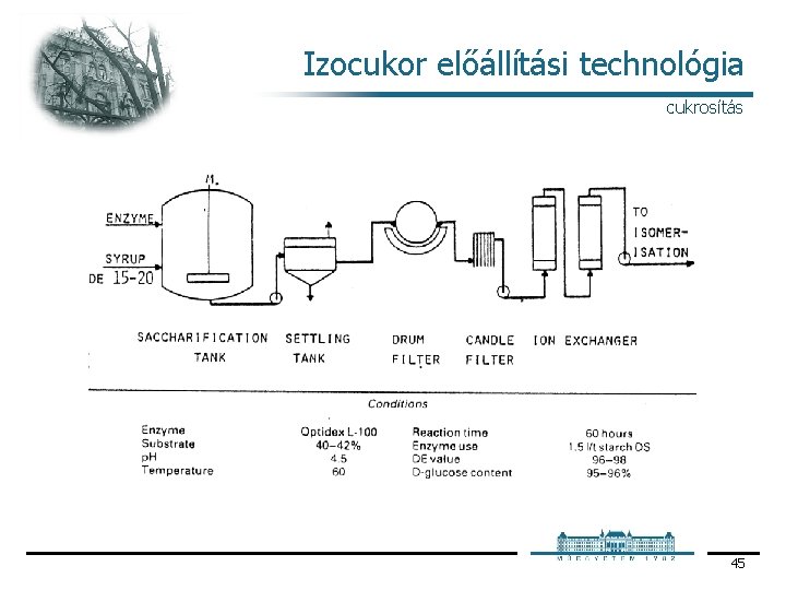 Izocukor előállítási technológia cukrosítás 45 