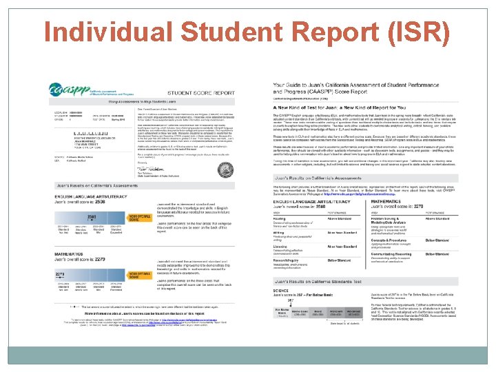 Individual Student Report (ISR) 