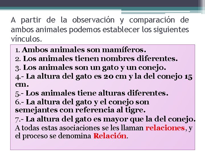 A partir de la observación y comparación de ambos animales podemos establecer los siguientes