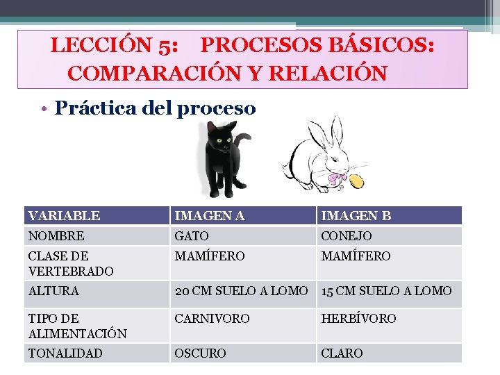 LECCIÓN 5: PROCESOS BÁSICOS: COMPARACIÓN Y RELACIÓN • Práctica del proceso VARIABLE IMAGEN A