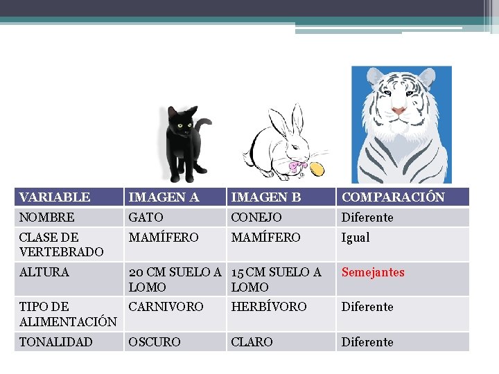 VARIABLE IMAGEN A IMAGEN B COMPARACIÓN NOMBRE GATO CONEJO Diferente CLASE DE VERTEBRADO MAMÍFERO