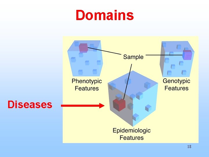 Domains Diseases 18 